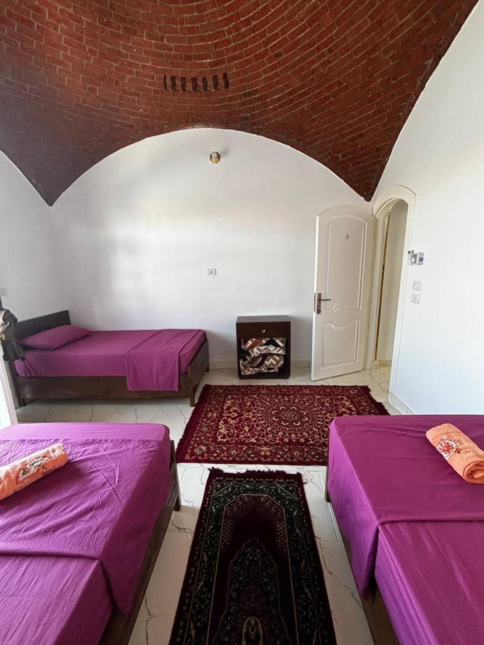 Nile View Guest House Aswan Ngoại thất bức ảnh